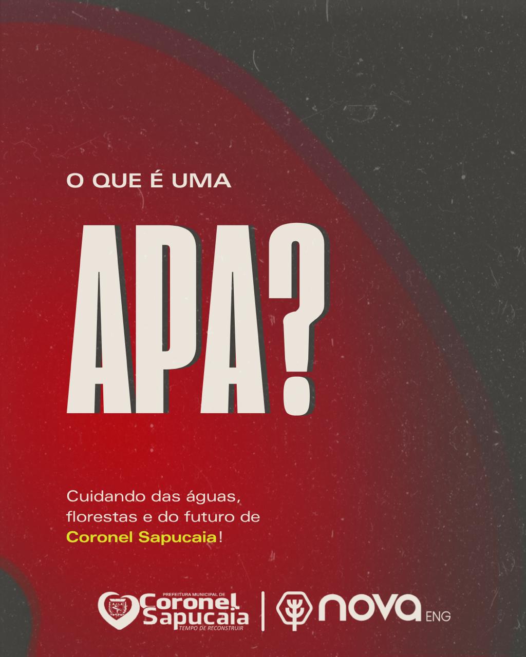 O que &eacute; uma APA ?